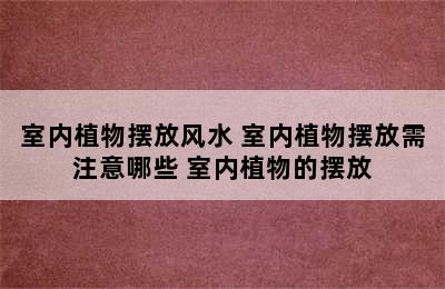 室内植物摆放风水 室内植物摆放需注意哪些 室内植物的摆放